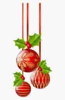 Christmas Party & NSW Quarterly Meeting 6 Dec 25